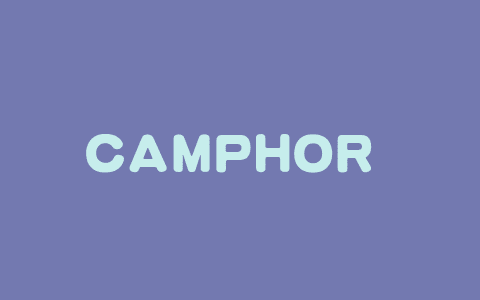 CAMPHOR – 苹果推出的端侧小语言模型多智能体框架