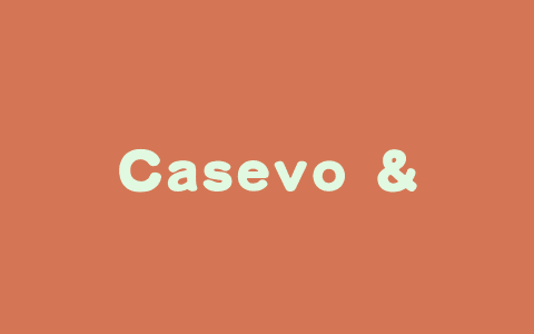 Casevo – 中国传媒大学推出的开源社会传播模拟系统