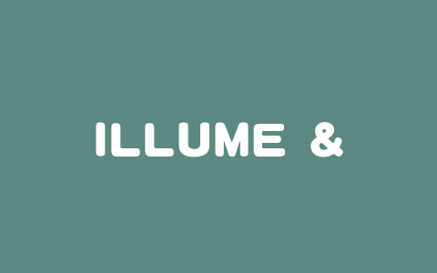 ILLUME – 华为诺亚方舟实验室推出的统一多模态大模型