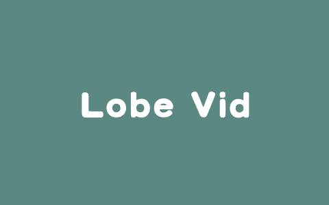 Lobe Vidol – AI数字人交互平台，可与虚拟人和 3D 模型聊天互动