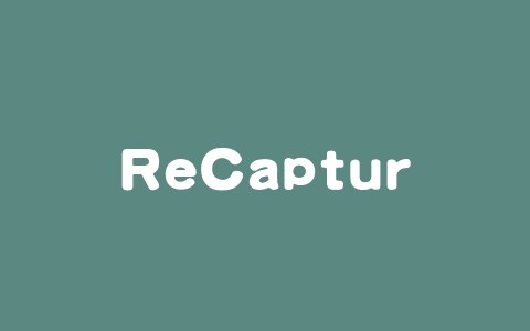 ReCapture – 谷歌和新加坡国立大学共同推出的视频处理技术