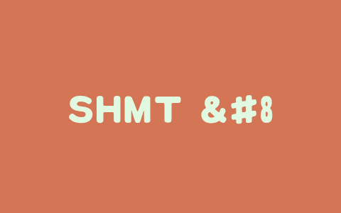 SHMT – 阿里达摩院联合武汉理工等机构推出的自监督化妆转移技术