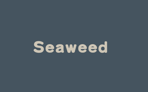 Seaweed APT – 字节跳动推出的单步图像和视频生成项目