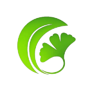 白果AI论文